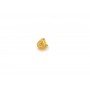 The Bloom Ambrosia Gold Stud